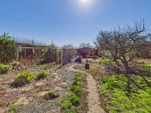 Rear gardens- click for photo gallery